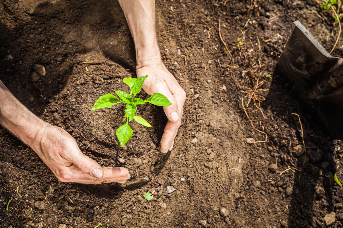 Laverana Finalist beim Nachhaltigkeitspreis