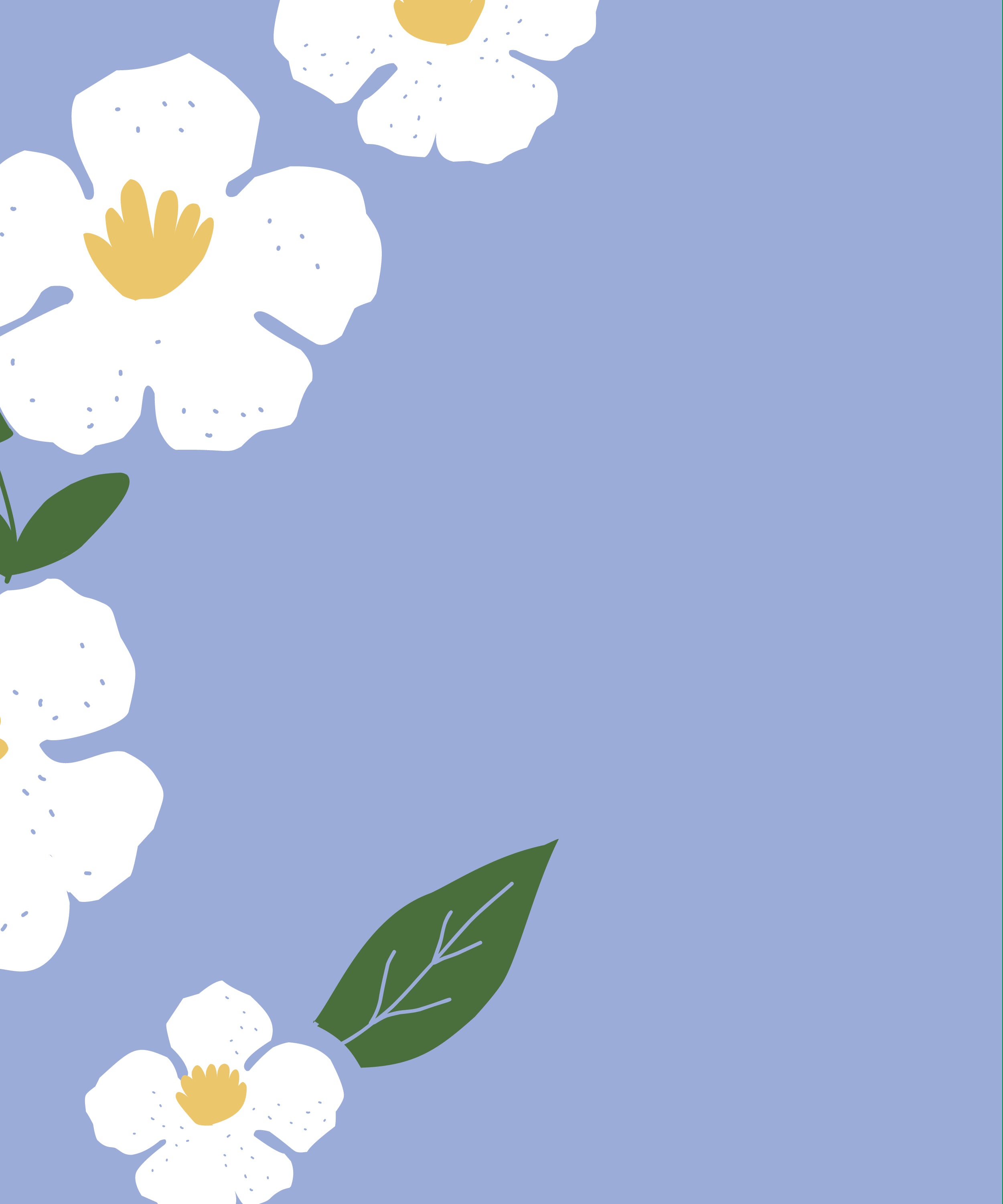 lavera Geschenkset Sunrise Glow