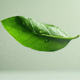 lavera Pflegeshampoo Volume & Lift (AI-generated image)