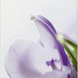 lavera Cellulite 2-Phasen Body Serum
