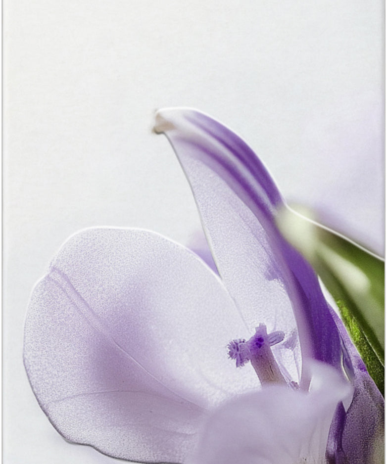 lavera Cellulite 2-Phasen Body Serum