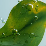 lavera Pflegeshampoo Revitalize & Boost (AI-generated image)