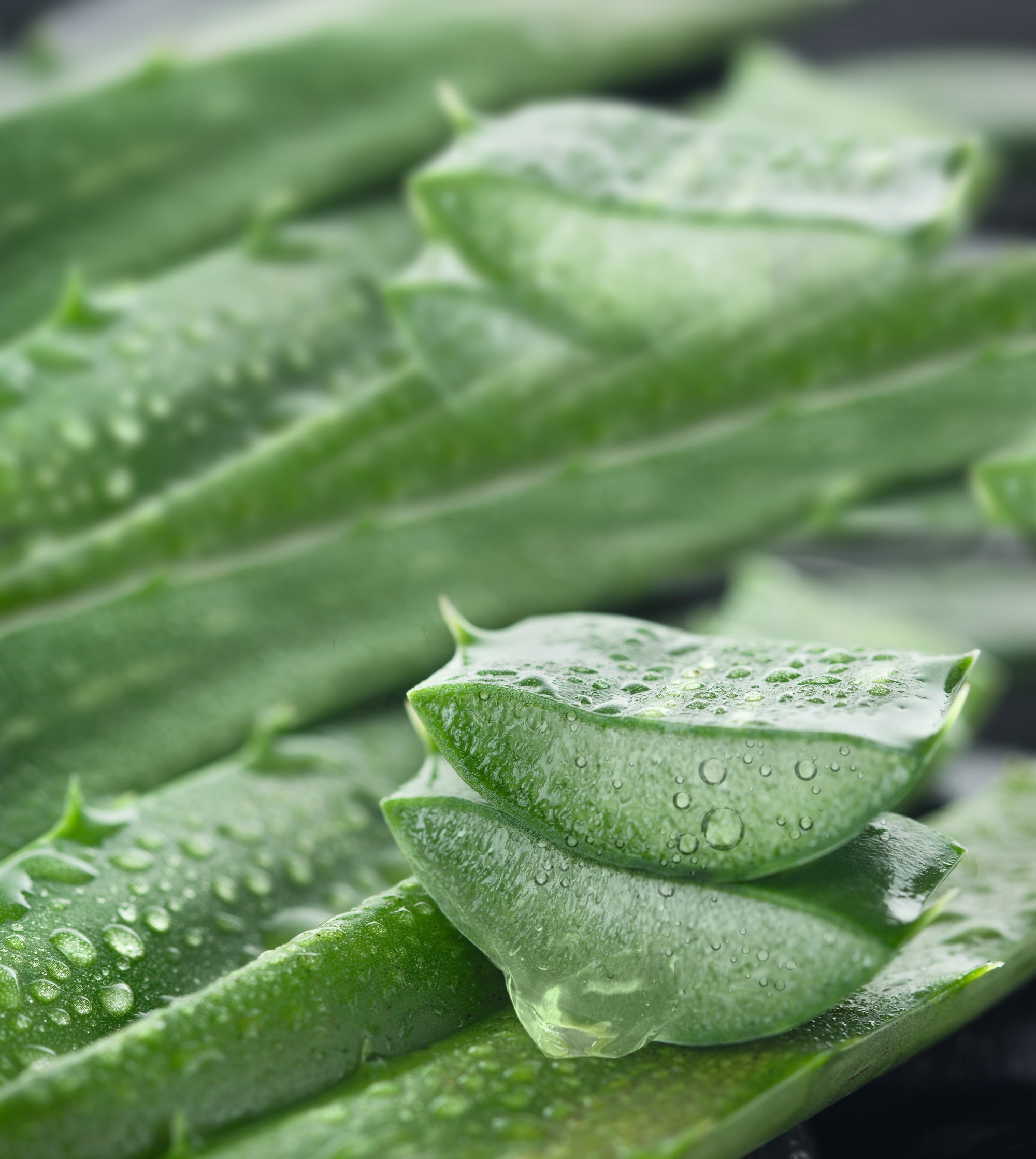 lavera Deo Creme basis sensitive NATURAL & SENSITIVE