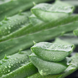 lavera Deo Creme basis sensitive NATURAL & SENSITIVE