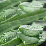 lavera Deo Creme basis sensitive NATURAL & SENSITIVE