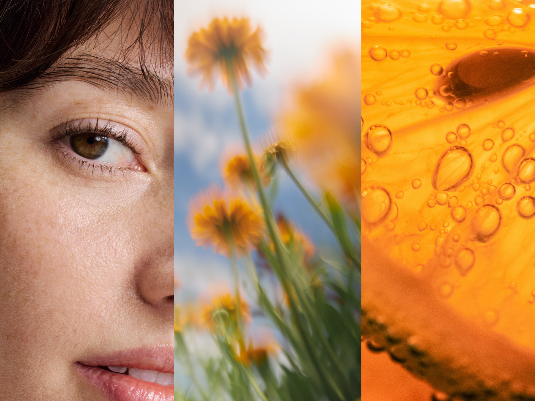 Dreigeteiltes Bild mit einer Frau, gelben Blumen und der Nahaufnahme des Inneren einer Orange