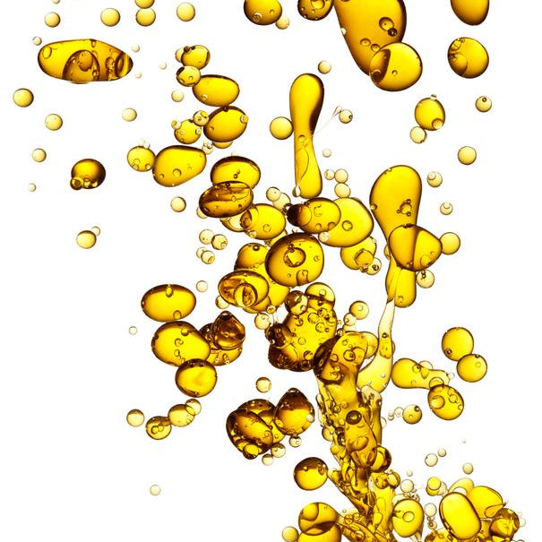 Getty-Image mit Personen in natürlicher Umgebung, Lifestyle-Motiv.