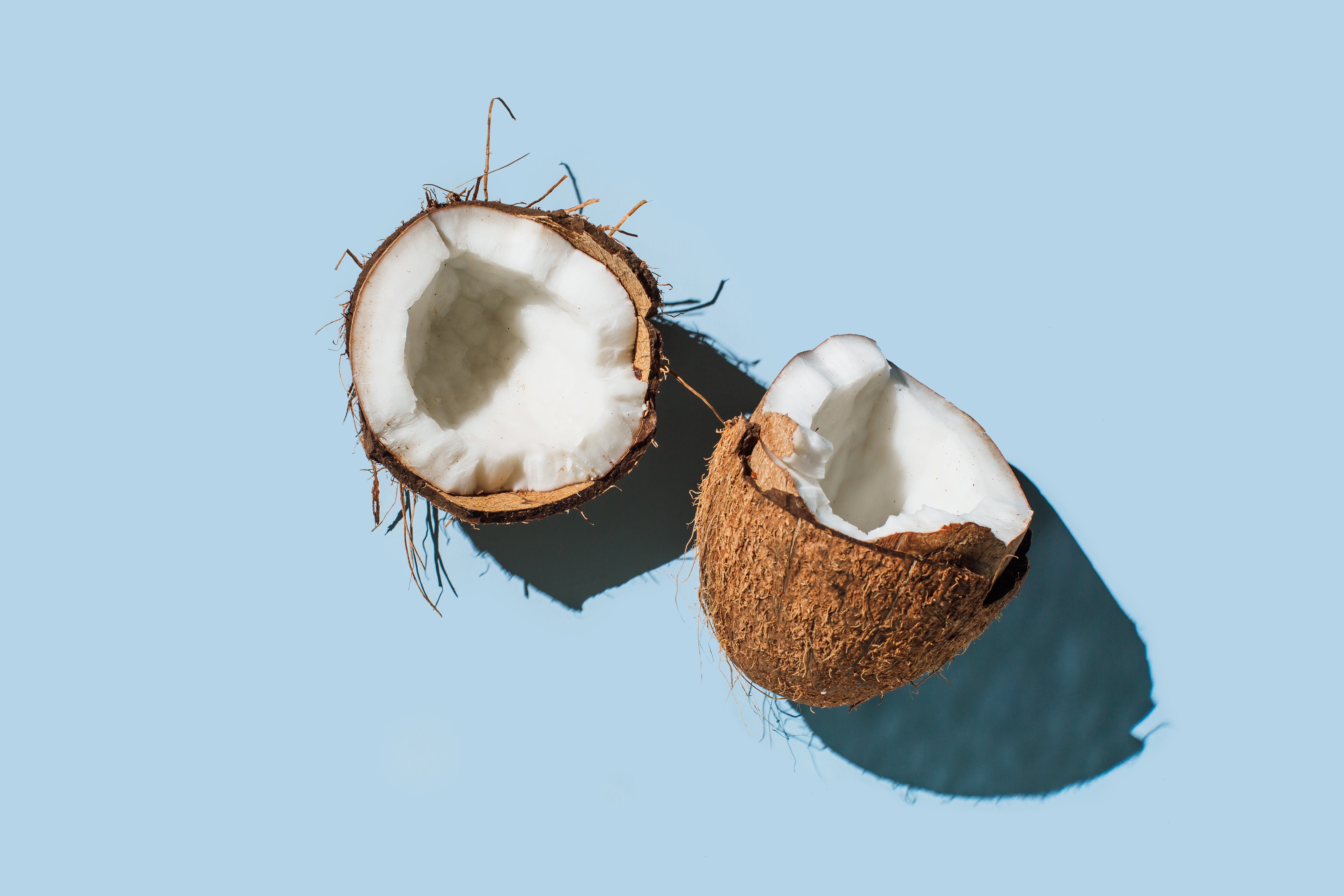 zwei halbe Kokosnüsse auf blauem Hintergrund