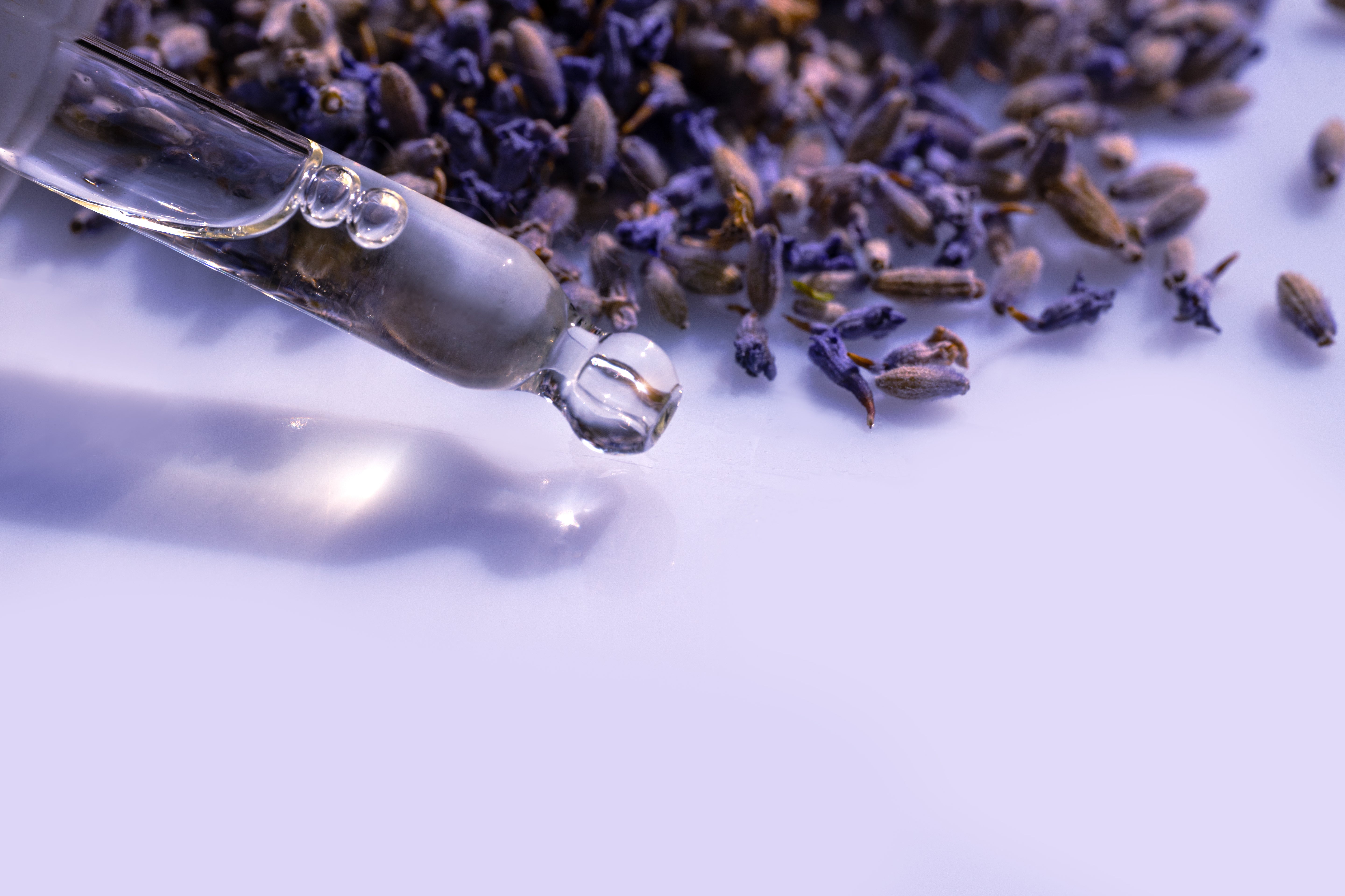 Pipette mit durchsichtiger Flüssigkeit vor einzelnen Lavendelblüten