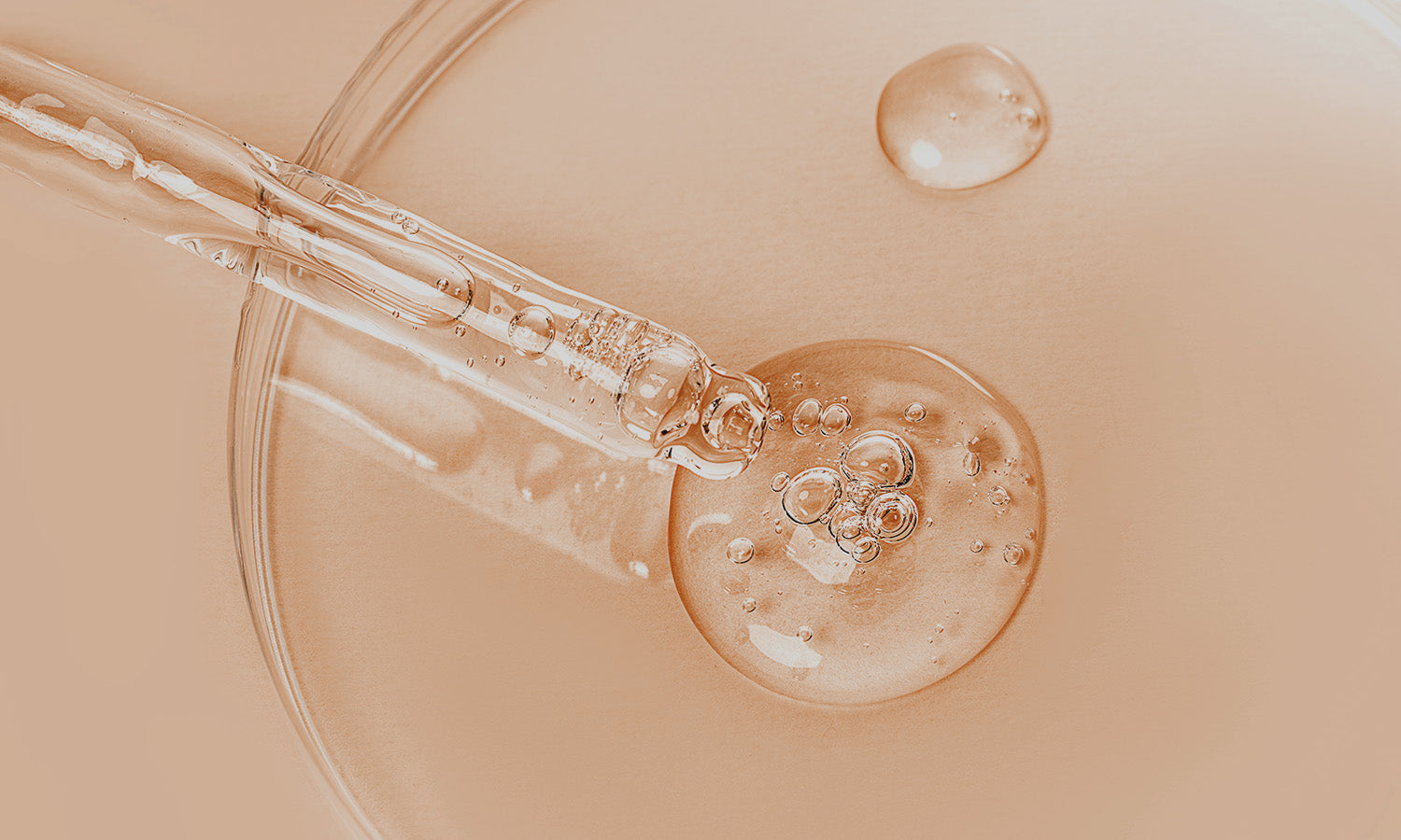 Pipette orangene Flüssigkeit Petrischale