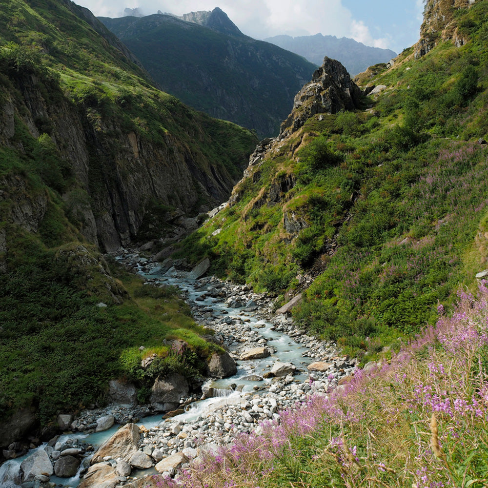 Grüne mit Gras und Blumen bewachsene Berglandschaft mit Schlucht, durch die ein Fluss fließt