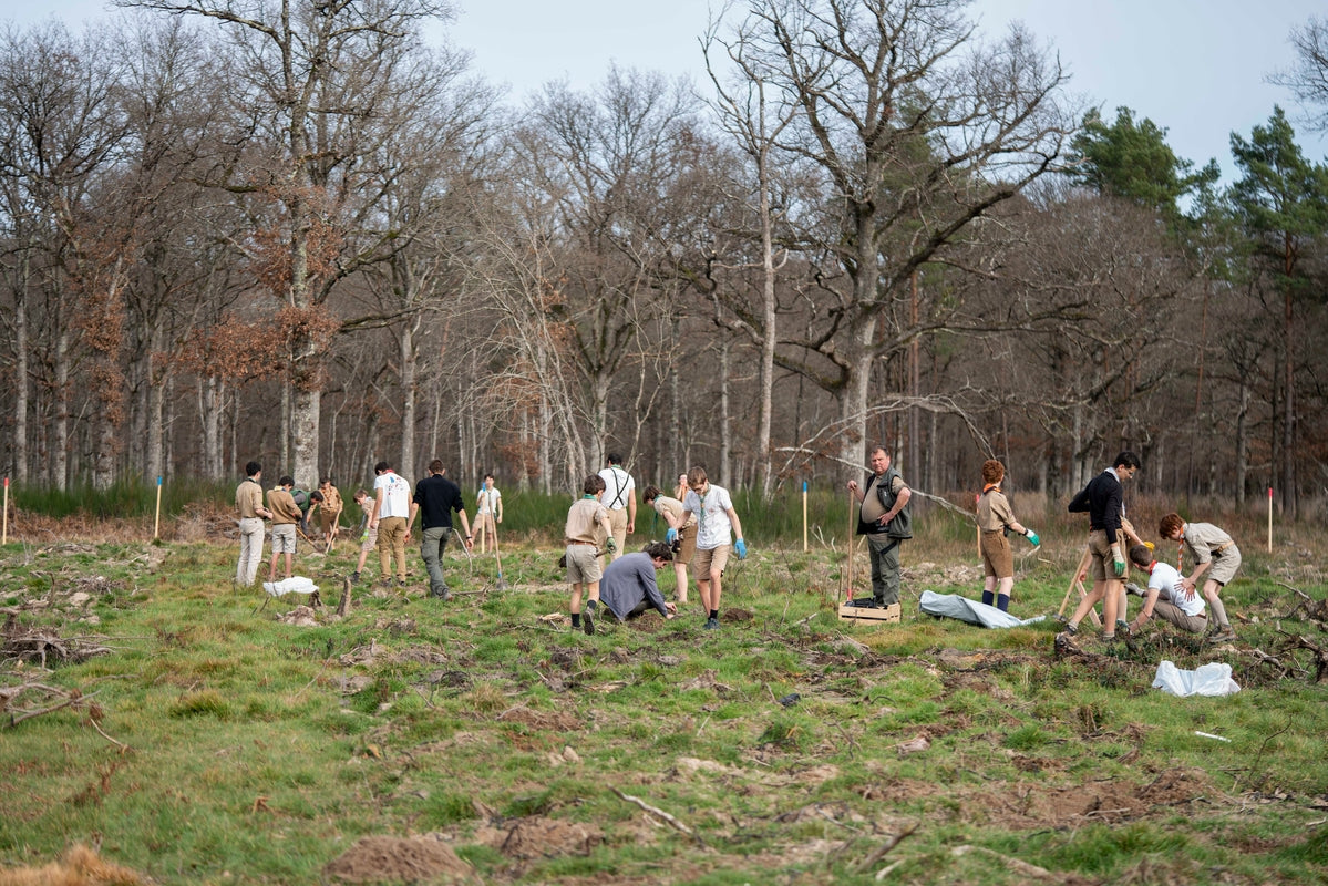 Eine Gruppe von Menschen pflanzt per Hand Bäume auf einer Wiese