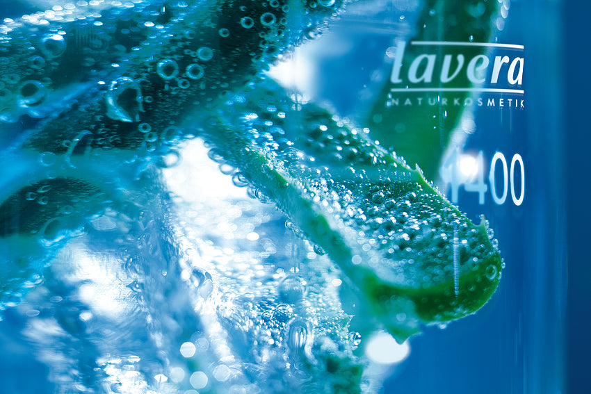 Glas mit Flüssigkeit und Aloe Vera