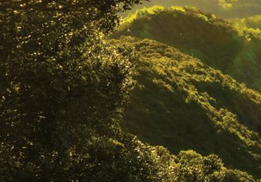 Grüne, bergige Landschaft bei Sonnenuntergang