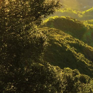Grüne, bergige Landschaft bei Sonnenuntergang