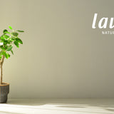 Lavera_Gutscheinkarte_Test