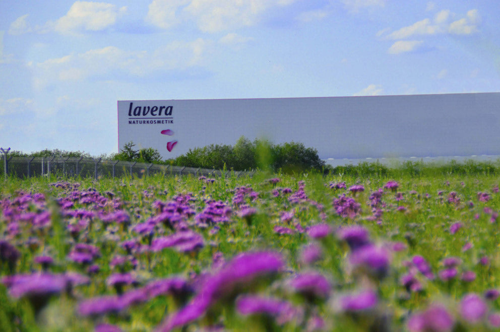 Logistikzentrum Bantorf hinter einer lilanden Wise