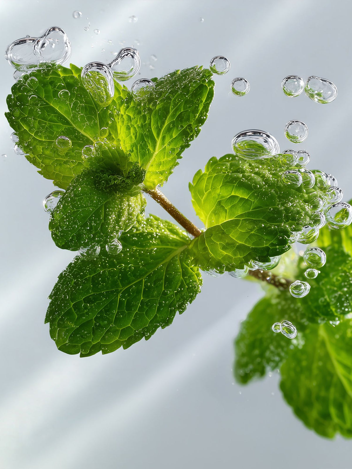 lavera Pflegeshampoo Fresh & Clear (AI-generated image)