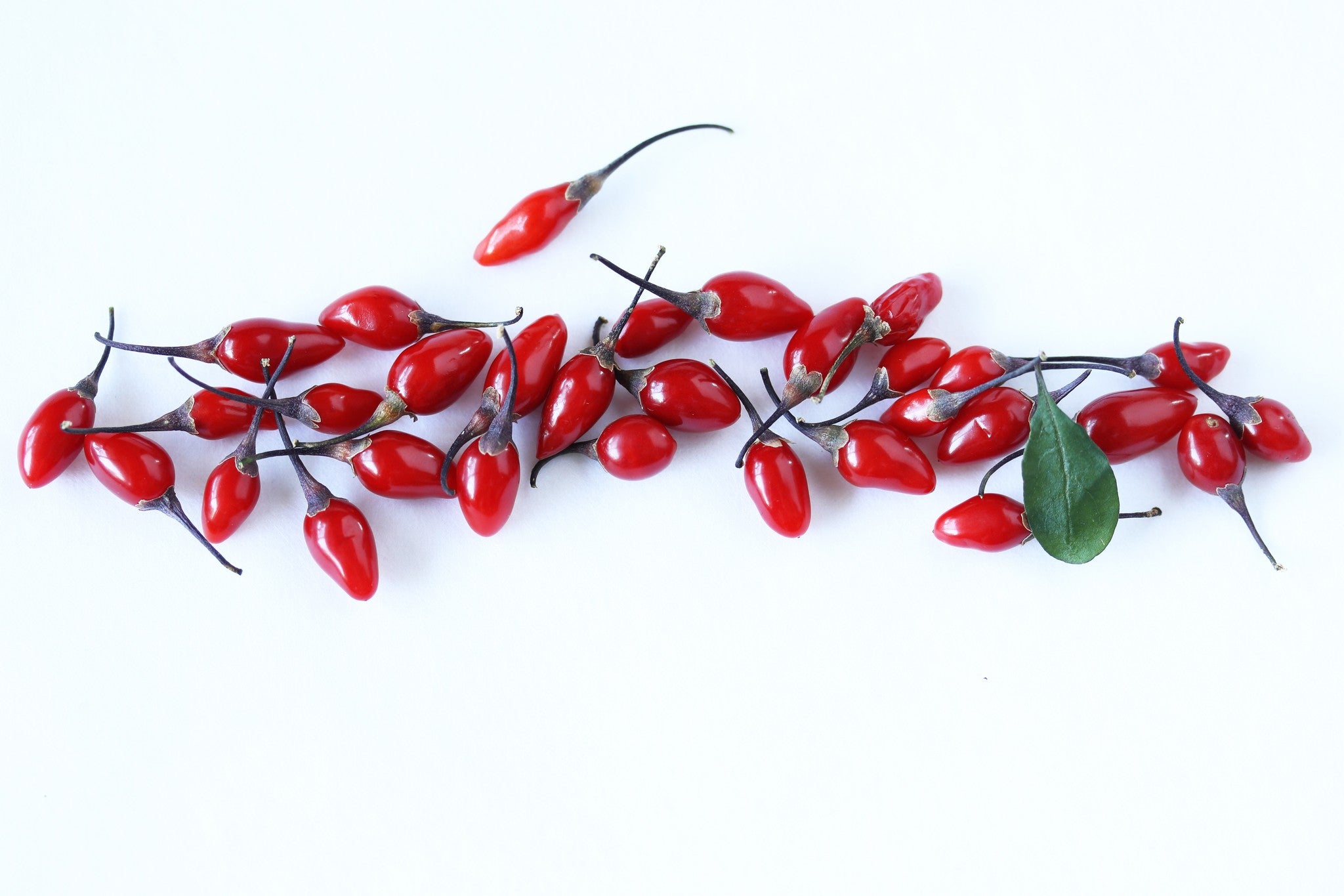 Gojibeere auf dem weißen Hintergrund