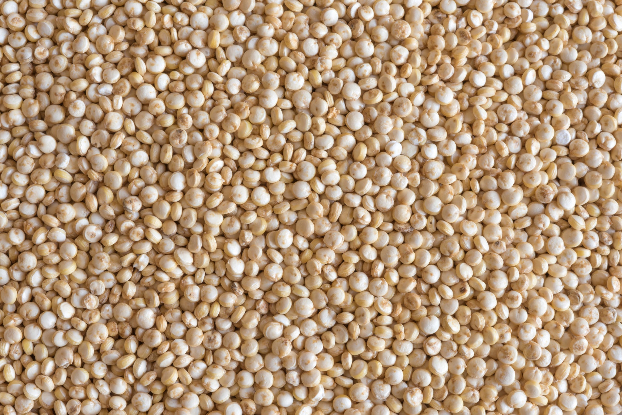 Viele helle Quinoasamen in gleichmäßiger Struktur, Draufsicht.