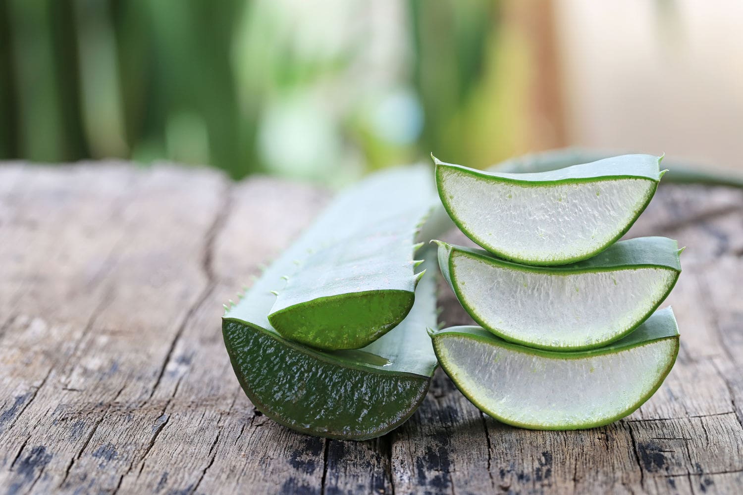 Aloe-Vera: Wertvolles Beauty-Gel für deine